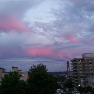 Meet your Posher, Eva